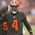 Cleveland Browns Make Triumphant Return to NFL Playoffs: A Journey to Redemption